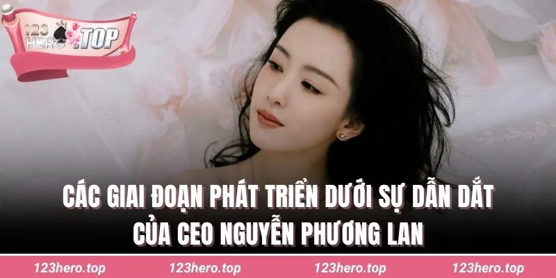 Các giai đoạn phát triển dưới sự dẫn dắt của CEO Nguyễn Phương Lan