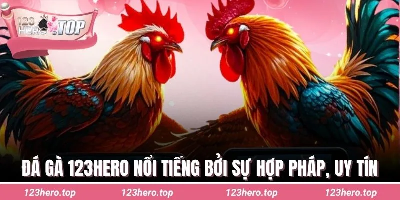 Đá gà 123hero nổi tiếng bởi sự hợp pháp, uy tín