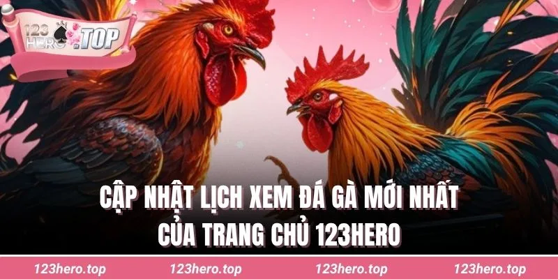 Cập nhật lịch xem đá gà mới nhất của trang chủ 123hero