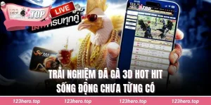 Đá gà 3D