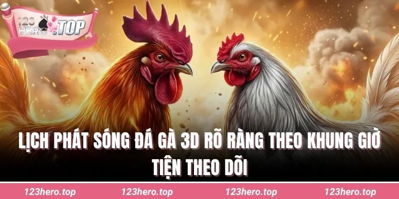 Lịch phát sóng đá gà 3D rõ ràng theo khung giờ tiện theo dõi