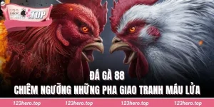 Đá gà 88