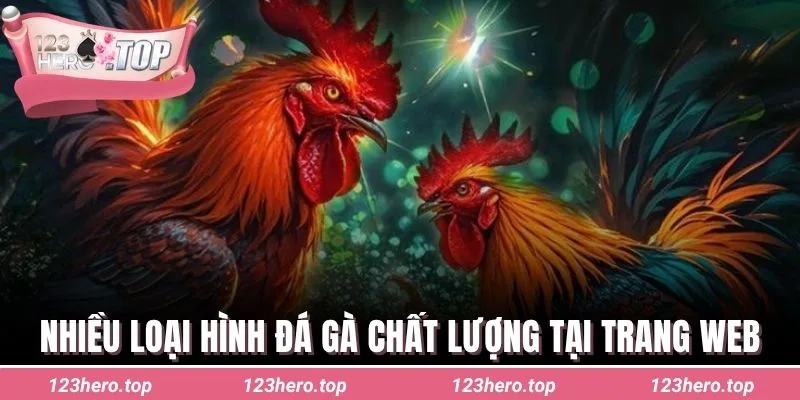 Nhiều loại hình đá gà chất lượng tại trang web