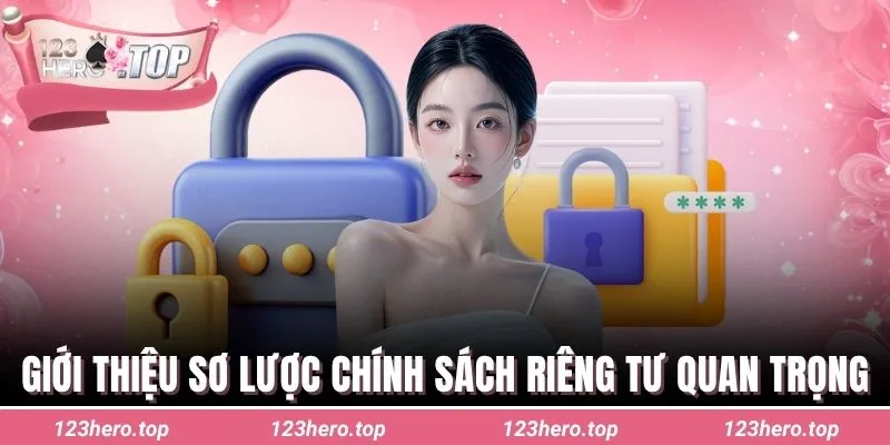 Giới thiệu sơ lược chính sách riêng tư quan trọng